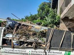 Best Shed Removal  in Kalama, WA
